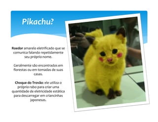Pikachu?

Roedor amarelo eletrificado que se
 comunica falando repetidamente
       seu próprio nome.

 Geralmente são encontrados em
 florestas ou em tomadas de suas
               casas.

  Choque do Trovão: ele utiliza o
   próprio rabo para criar uma
quantidade de eletricidade estática
 para descarregar em criancinhas
            japonesas.
 
