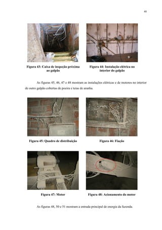 40
Figura 43: Caixa de inspeção próxima
ao galpão
Figura 44: Instalação elétrica no
interior do galpão
As figuras 45, 46, 47 e 48 mostram as instalações elétricas e de motores no interior
de outro galpão cobertas de poeira e teias de aranha.
Figura 45: Quadro de distribuição Figura 46: Fiação
Figura 47: Motor Figura 48: Acionamento do motor
As figuras 48, 50 e 51 mostram a entrada principal de energia da fazenda.
 