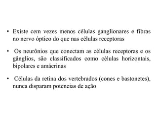 • Existe cem vezes menos células ganglionares e fibras 
no nervo óptico do que nas células receptoras 
• Os neurônios que conectam as células receptoras e os 
gânglios, são classificados como células horizontais, 
bipolares e amácrinas 
• Células da retina dos vertebrados (cones e bastonetes), 
nunca disparam potencias de ação 
 