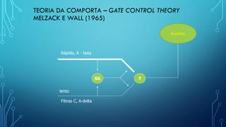 TEORIA DA COMPORTA – GATE CONTROL THEORY
MELZACK E WALL (1965)
SG T
lento
Rápido, A - beta
Fibras C, A-delta
Encéfalo
 