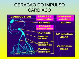 GERAÇÃO DO IMPULSO
CARDÍACO
 