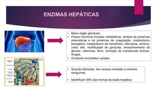 Eletrocardiograma ECG e Enzimas Cardíacas e Hepaticas | PPTX