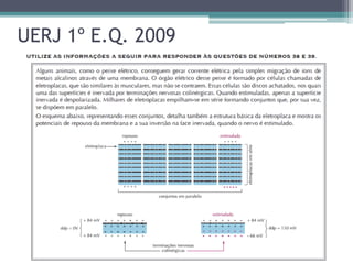 UERJ 1º E.Q. 2009
 