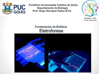 Eletroforese
Pontifícia Universidade Católica de Goiás
Departamento de Biologia
Prof. Hugo Henrique Pádua M.Sc.
Fundamentos de Biofísica
 