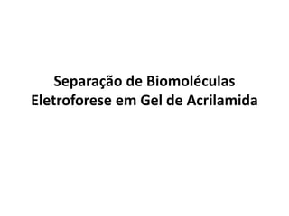 Separação de Biomoléculas
Eletroforese em Gel de Acrilamida

 