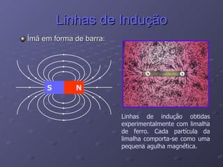 Linhas de Indução Ímã em forma de barra: N S Linhas de indução obtidas experimentalmente com limalha de ferro. Cada partícula da limalha comporta-se como uma pequena agulha magnética. 