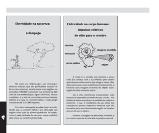 Eletricidade na natureza:                          Eletricidade no corpo humano:
                                                                          impulsos elétricos
                      relâmpago
                                                                       do olho para o cérebro


                                                             cérebro
                                                                                              imagem invertida
                                                             sensação


                                                              nervo óptico
                                                                                                   objeto



                                                                     A visão é o sentido que domina a nossa
                                                              vida! Ela começa com a luz refletida pelo objeto
                                                              que estamos observando e que atinge o nosso olho.
           Os raios ou relâmpagos são descargas               Após atravessar várias substâncias transparentes, é
    elétricas naturais que são produzidas quando se           formada uma imagem invertida do objeto numa
    forma uma enorme tensão entre duas regiões da             região do olho chamada retina.
    atmosfera (100.000 vezes maior que a tensão de 220
    volts de sua residência para ligar o chuveiro). Nessas           Ela é uma membrana transparente, cujo
    condições, o ar não se comporta como um isolante          formato se assemelha ao fundo de uma concha. Nas
    elétrico e o valor da corrente elétrica pode atingir      células da retina encontram-se substâncias químicas
    valores de até 200.000 ampères.                           sensíveis à luz. A incidência da luz sobre tais
                                                              substâncias produz impulsos elétricos que são
           Em certos casos pode-se sobreviver a um raio,      enviados para uma deteminada região do cérebro
    desde que a corrente elétrica seja desviada dos           através do nervo óptico.
    órgãos vitais para as partes superficiais do corpo,
    como a pele molhada de suor ou a roupa molhada                  Embora a imagem na retina seja invertida, é
4




    pela chuva ou também pelo medo.                           no cérebro que ela é colocada na posição normal.
 