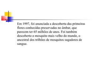 Em 1997, foi anunciada a descoberta das primeiras 
flores conhecidas preservadas no âmbar, que 
parecem ter 65 milhões de anos. Foi também 
descoberto o mosquito mais velho do mundo, o 
ancestral dos trilhões de mosquitos sugadores de 
sangue. 
 