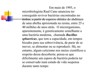 Em maio de 1995, o 
microbiologista Raul Cano anunciou ter 
conseguido reviver bactérias encontradas no 
âmbar, a partir de esporos obtidos do abdômen 
de uma abelha aprisionada na resina, entre 25 e 
40 milhões de anos atrás. O microrganismo, 
aparentemente, é geneticamente semelhante a 
uma bactéria moderna, chamada Bacillus 
sphaericus, que tem a capacidade, em tempos 
bicudos para sua sobrevivência, de parar de se 
mover, se alimentar ou se reproduzir. Há, no 
entanto, algum ceticismo nos meios científicos a 
respeito dessa descoberta: pensa-se que 
dificilmente um esporo de bactéria poderia ter 
se conservado num estado de vida suspensa 
durante tanto tempo 
 