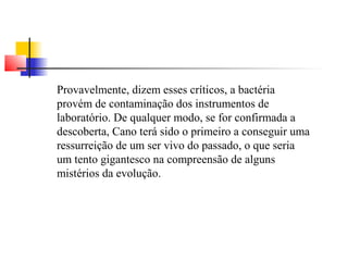 Provavelmente, dizem esses críticos, a bactéria 
provém de contaminação dos instrumentos de 
laboratório. De qualquer modo, se for confirmada a 
descoberta, Cano terá sido o primeiro a conseguir uma 
ressurreição de um ser vivo do passado, o que seria 
um tento gigantesco na compreensão de alguns 
mistérios da evolução. 
 