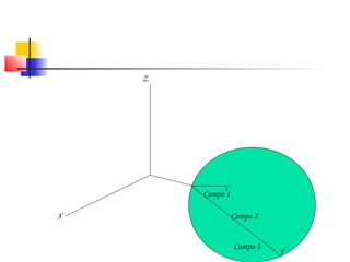 Campo 1 
Campo 1 
Campo 2 
Campo 3 
Campo 2 
Campo 3 
i 
f 
Z 
X 
 