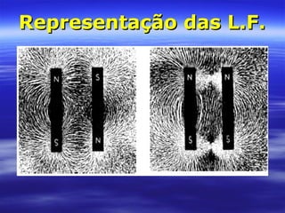 Representação das L.F.Representação das L.F.
 