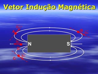 Vetor Indução MagnéticaVetor Indução Magnética
A B
C
D
BD
BA
BC
BB
N S
 
