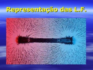 Representação das L.F.Representação das L.F.
 