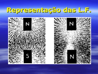 Representação das L.F.Representação das L.F.
 