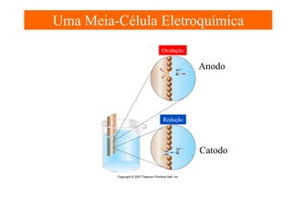 Uma Meia-Célula Eletroquímica
Oxidação

Anodo

Redução

Catodo

 