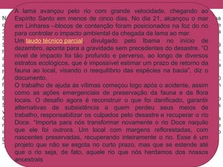 Na tarde do dia 5 de novembro, o rompimento da barragem do Fundão, localizada na
cidade histórica de Mariana (MG), foi responsável pelo lançamento no meio ambiente de
34 milhões de m³ de lama, resultantes da produção de minério de ferro pela mineradora
Samarco --empresa controlada pela Vale e pela britânica BHP Billiton.
Seiscentos e sessenta e três quilômetros de rios e córregos foram atingidos;1.469
hectares de vegetação, comprometidos; 207 de 251 edificações acabaram soterradas
apenas no distrito de Bento Rodrigues. Esses são apenas alguns números do impacto,
ainda por ser calculado, do desastre, já considerado a maior catástrofe ambiental da
história do país.
A enxurrada de rejeitos rapidamente se espalhou pela região, deixou mais de 600
famílias desabrigadas e chegou até os córregos próximos. Até o momento, foram
confirmadas as mortes de 17 pessoas.
Em questão de horas, a lama chegou ao rio Doce, cuja bacia é a maior da região
Sudeste do País -- a área total de 82.646 quilômetros quadrados é equivalente a duas
vezes o Estado do Rio de Janeiro.
O fornecimento de água para os moradores de cidades abastecidas pelos rios da
região, como Governador Valadares, em Minas Gerais, teve que ser temporariamente
interrompido, sendo retomado dias depois, quando laudos de órgãos técnicos do
governo descartaram a contaminação da água por materiais tóxicos.
”, disse a presidenta Dilma Rousseff.
A lama avançou pelo rio com grande velocidade, chegando ao
Espírito Santo em menos de cinco dias. No dia 21, alcançou o mar
em Linhares –blocos de contenção foram posicionados na foz do rio
para controlar o impacto ambiental da chegada da lama ao mar.
Um laudo técnico parcial, divulgado pelo Ibama no início de
dezembro, aponta para a gravidade sem precedentes do desastre. “O
nível de impacto foi tão profundo e perverso, ao longo de diversos
estratos ecológicos, que é impossível estimar um prazo de retorno da
fauna ao local, visando o reequilíbrio das espécies na bacia”, diz o
documento.
O trabalho de ajuda às vítimas começou logo após o acidente, assim
como as ações emergenciais de preservação da fauna e da flora
locais. O desafio agora é reconstruir o que foi danificado, garantir
alternativas de subsistência a quem perdeu seus meios de
trabalho, responsabilizar os culpados pelo desastre e recuperar o rio
Doce. “Importa para nós transformar novamente o rio Doce naquilo
que ele foi outrora. Um local com margens reflorestadas, com
nascentes preservadas, recuperando inteiramente o rio. Esse é um
projeto que não se esgota no curto prazo, mas que se estende até
que o rio seja, de fato, aquele rio que nós herdamos dos nossos
ancestrais
 
