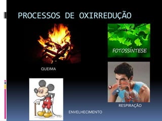 PROCESSOS DE OXIRREDUÇÃO 
QUEIMA 
RESPIRAÇÃO 
ENVELHECIMENTO 
 