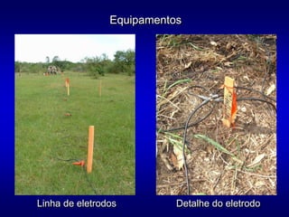 Equipamentos
Linha de eletrodos Detalhe do eletrodo
 