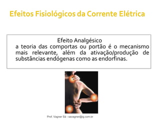 Efeito Analgésico 
a teoria das comportas ou portão é o mecanismo 
mais relevante, além da ativação/produção de 
substâncias endógenas como as endorfinas. 
Prof. Vagner Sá - savagner@ig.com.br 
 