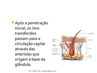 Após a penetração 
inicial, os íons 
transferidos 
passam para a 
circulação capilar 
através das 
arteríolas que 
irrigam a base da 
glândula. 
Prof. Vagner Sá - savagner@ig.com.br 
 