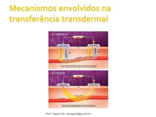 Prof. Vagner Sá - savagner@ig.com.br 
 