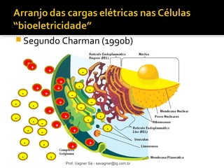 Segundo Charman (1990b) 
+ 
+ 
+ 
+ 
+ 
+ 
+ 
+ 
+ 
- 
- 
- 
- 
- 
- 
- 
- 
- 
- 
- 
- 
- 
- 
- 
- 
- 
- 
- 
- 
- 
+ 
+ 
+ 
+ 
+ 
Prof. Vagner Sá - savagner@ig.com.br 
 