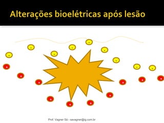 + 
- 
- 
- 
- 
- 
- 
- 
- - 
+ 
+ 
+ 
+ + 
+ 
+ 
+ 
+ 
Prof. Vagner Sá - savagner@ig.com.br 
 