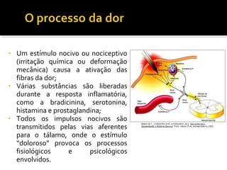 • Um estímulo nocivo ou nociceptivo 
(irritação química ou deformação 
mecânica) causa a ativação das 
fibras da dor; 
• Várias substâncias são liberadas 
durante a resposta inflamatória, 
como a bradicinina, serotonina, 
histamina e prostaglandina; 
• Todos os impulsos nocivos são 
transmitidos pelas vias aferentes 
para o tálamo, onde o estímulo 
“doloroso” provoca os processos 
fisiológicos e psicológicos 
envolvidos. 
 