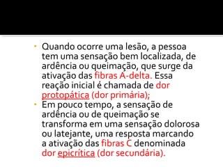 • Quando ocorre uma lesão, a pessoa 
tem uma sensação bem localizada, de 
ardência ou queimação, que surge da 
ativação das fibras A-delta. Essa 
reação inicial é chamada de dor 
protopática (dor primária); 
• Em pouco tempo, a sensação de 
ardência ou de queimação se 
transforma em uma sensação dolorosa 
ou latejante, uma resposta marcando 
a ativação das fibras C denominada 
dor epicrítica (dor secundária). 
 