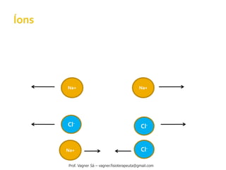 Na+
Cl-
Na+
Na+
Cl-
Cl-
Prof. Vagner Sá – vagner.fisioterapeuta@gmail.com
 