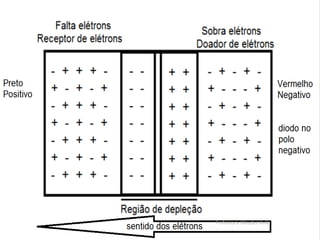 Professora Glaydes Ávila

 