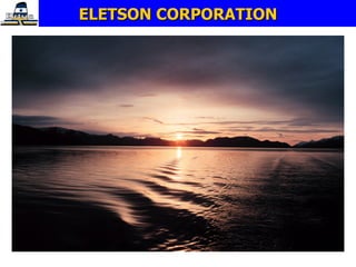 ELETSON CORPORATION 