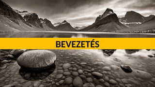 BEVEZETÉS
 