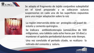 Se adapta el fragmento de tejido conjuntivo subepitelial
en el túnel preparado y se colocaran suturas
suspensorias en cada una de las superficies expuestas
para una mejor adaptación sobre la raíz
La región intervenida debe ser protegida con papel de
estaño y cemento quirúrgico.
Se indicara antibioticoterapia (amoxicilina de 500
miligramos, una tableta cada ocho horas por 10 días) y
mantener el apósito periodontal durante este tiempo.
Una vez concluido el período citado, se realizara la
retirada del cemento y sutura.
 