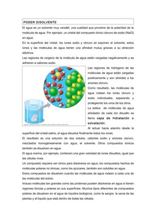 PODER DISOLVENTE
El agua es un solvente muy versátil, una cualidad que proviene de la polaridad de la
molécula de agua. Por ejemplo, un cristal del compuesto iónico cloruro de sodio (NaCl)
en agua.
En la superficie del cristal, los iones sodio y cloruro se exponen al solvente, estos
iones y las moléculas de agua tienen una afinidad mutua gracias a su atracción
eléctrica.
Las regiones de oxígeno de la molécula de agua están cargadas negativamente y se
adhieren a cationes sodio.
                                                     Las regiones de hidrógeno de las
                                                     moléculas de agua están cargadas
                                                     positivamente y son atraídas a los
                                                     aniones cloruro.
                                                     Como resultado, las moléculas de
                                                     agua rodean los iones cloruro y
                                                     sodio individuales, separando y
                                                     protegiendo los unos de los otros.
                                                     La esfera    de moléculas de agua
                                                     alrededor de cada Ion disuelto se
                                                     llama capa de hidratación o
                                                     solvatación.
                                                     Al actuar hacia adentro desde la
superficie del cristal salino, el agua disuelve finalmente todos los iones.
El resultado es una solución de dos solutos, cationes sodio y aniones cloruro,
mezclados homogéneamente con agua, el solvente. Otros compuestos iónicos
también se disuelven en agua.
El agua marina, por ejemplo, contienen una gran variedad de iones disueltos, igual que
las células vivas.
Un compuesto requiere ser iónico para disolverse en agua, los compuestos hechos de
moléculas polares no iónicas, como los azúcares, también son solubles en agua.
Estos compuestos se disuelven cuando las moléculas de agua rodean a cada una de
las moléculas del soluto.
Incluso moléculas tan grandes como las proteínas pueden disolverse en agua si tienen
regiones iónicas y polares en sus superficies. Muchos tipos diferentes de compuestos
polares de disuelven en el agua de líquidos biológicos, como la sangre, la savia de las
plantas y el líquido que está dentro de todas las células.
 