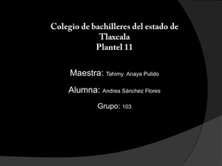 Colegio de bachilleres del estado de Tlaxcala  Plantel 11 Maestra: Tahimy  Anaya Pulido Alumna: Andrea Sánchez Flores  Grupo: 103 
