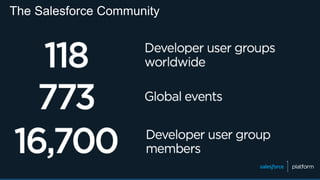 The Salesforce Community
 