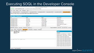 Executing SOQL in the Developer Console 
 