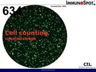  ©Cellular Technology Ltd. Cell countingcounted image
