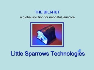 THE BILI-HUT
   a global solution for neonatal jaundice




Little Sparrows Technologies
 