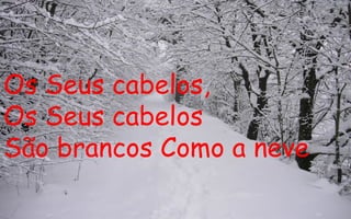 Os Seus cabelos, Os Seus cabelos São brancos Como a neve