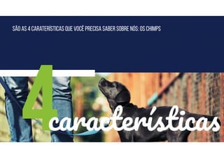 São as 4 caraterísticas que você precisa saber sobre nós: Os Chimps
4características
 