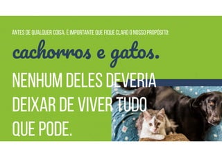 ANTES DE QUALQUER COISA, É IMPORTANTE QUE FIQUE CLARO O NOSSO PROPÓSITO:
cachorros e gatos.
NENHUM DELES DEVERIA
DEIXAR DE VIVER TUDO
QUE PODE.
 