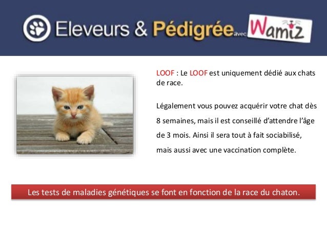 Eleveurs Pedigree