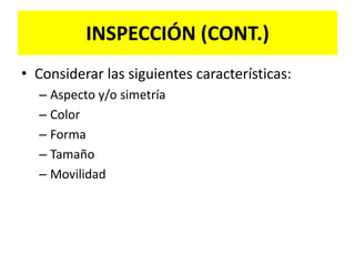 POSICIONES DEL PACIENTEEl paciente puede colocarse en diferentes posiciones durante la exploración física:Decúbito dorsalSupinaSentadaLitotomíaSimsProna