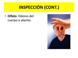 INSPECCIÓNApreciación de las características del cuerpo (superficie externa y cavidades) utilizando la vistaSe realiza en todo momentoPosición del examinador: de espalda a la luzLado derecho del paciente si se es diestroDe preferencia utilizar luz natural duranteLa luz artificial podría alterar los colores visibles como el rojo y amarillo y pasar inadvertido ejemplo una ictericia