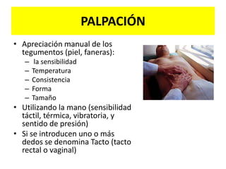 INSPECCIÓN (CONT.)Visión: tamaño del cuerpo, peso, postura, señales de distres o disconfort, gesturas faciales o del cuerpo, color de la piel y lesiones, anormalidades del movimiento, señales de ansiedad o cólera, artefactos culturales y religiosos.