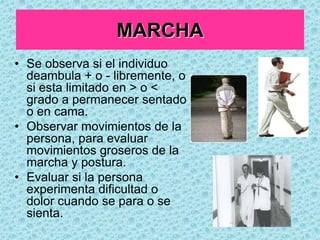 AUSCULTACIÓN (cont.)Existe 2 métodos para auscultarAus. InmediataAus. MediataInterponer el estetoscopio entre el oído y la superficie cutánea
