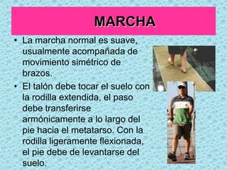 Oído contra la superficie cutánea, usando una tela fina de algodónRealizarse la suficiente presión para que el pabellón de la oreja se adapte en todo su contorno formando una cavidad cerradaTÉCNICA PARA AUSCULTACIÓNESTETOSCOPIO BIAURICULAREn la ejecución de la auscultación como operación debe considerarse lo siguiente:– Colocación correcta del auricular al auscultar.– Sujetar el diafragma o la campana con dos dedos (el pulgar y el índice o el dedo del medio).– Calentar por fricción el diafragma si es necesario.– Aplicar el diafragma firmemente para escuchar los sonidos agudos o altos.– Aplicar la campana suavemente para escuchar los sonidos graves o bajos.